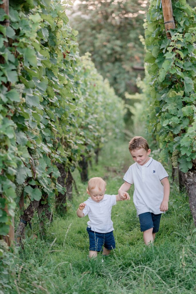 deux enfants dans les vignes marchant main dans la main